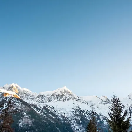 Primerose - Historic - Garden - - 5 Bedrooms - Mont-blanc Views Alpstuga *